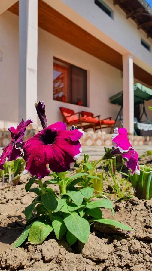 Casa Caraua Villa Greci Buitenkant foto